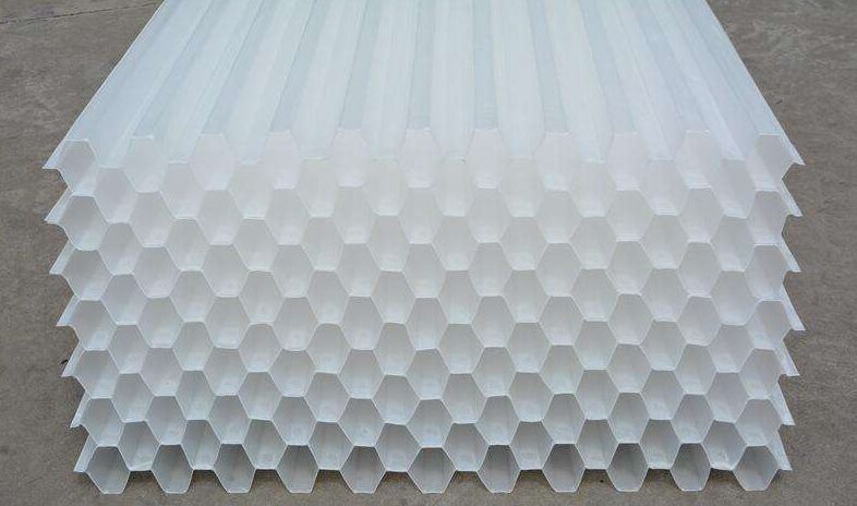 ��Cб�����ϏS�ҹ���